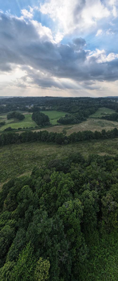 DJI_3079.JPG